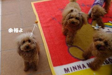 DSCF8509.JPG