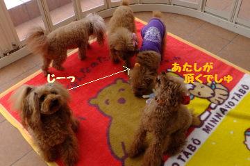 DSCF8511.JPG