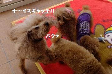 DSCF8512.JPG