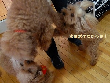 DSCF8515.jpg