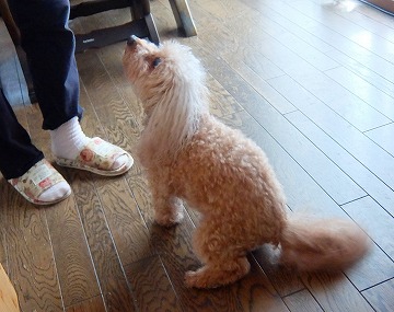 DSCF8530.jpg