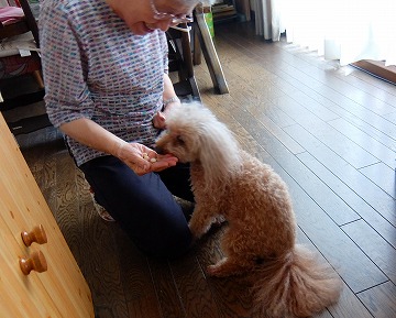 DSCF8531.jpg