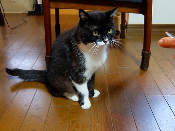 DSCF8540.jpg