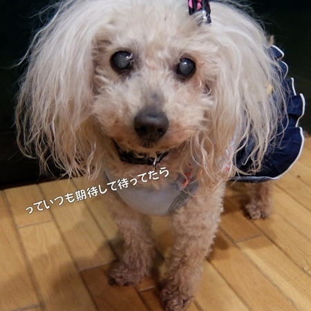 DSCF8545.jpg