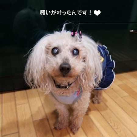 DSCF8547.jpg