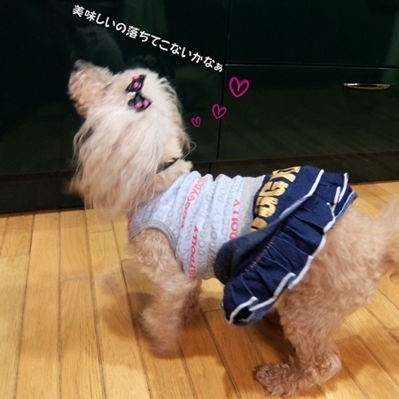 DSCF8558.jpg