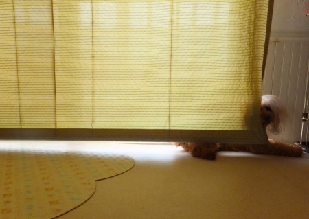 DSCF8587.jpg