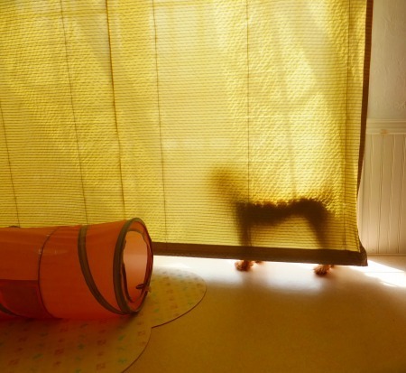 DSCF8589.jpg