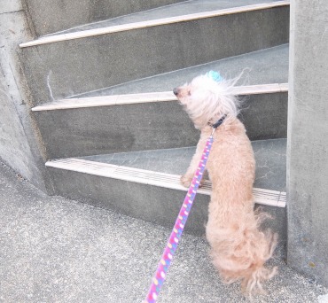 DSCF8630.jpg