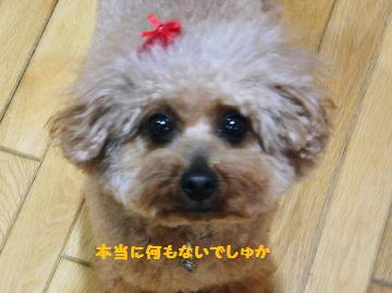 DSCF86421.jpg