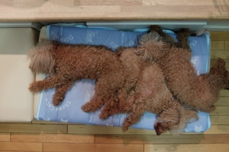 DSCF8711.jpg