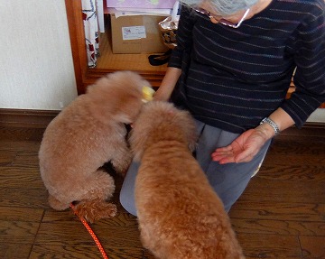 DSCF8711.jpg
