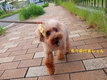 DSCF8715.jpg