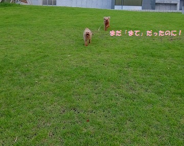 DSCF8722.jpg