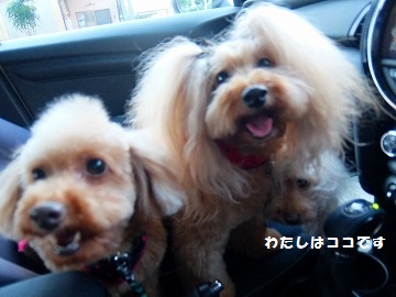 DSCF8740.jpg