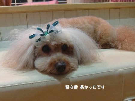 DSCF8760.jpg