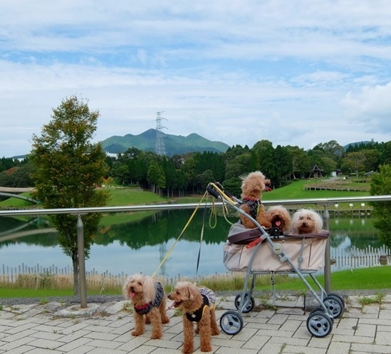 DSCF8818.jpg