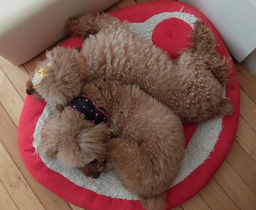 DSCF8879.jpg