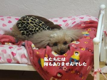 DSCF88912.jpg