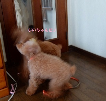 DSCF8983.jpg