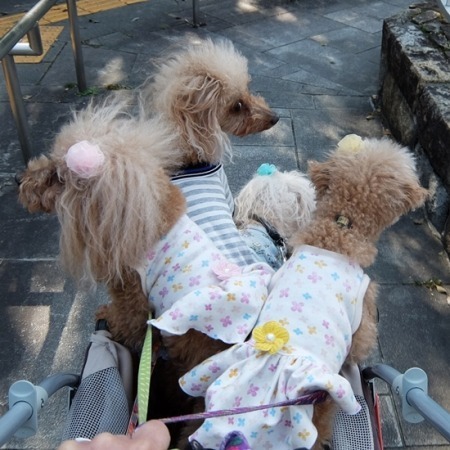 DSCF8995.jpg