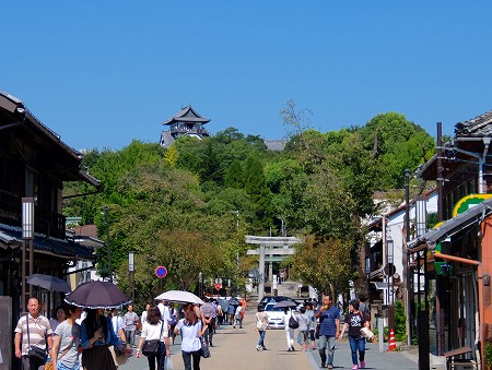 DSCF9034.jpg