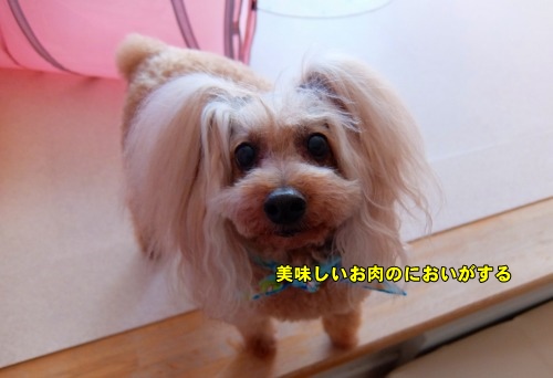 DSCF9042.jpg