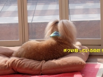 DSCF9053.jpg