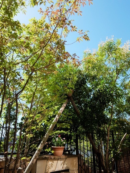 DSCF9092.jpg