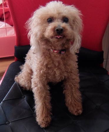 DSCF91581.jpg