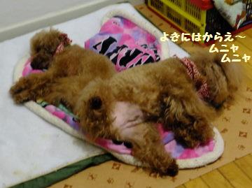 DSCF9174.JPG
