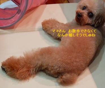 DSCF92161.jpg