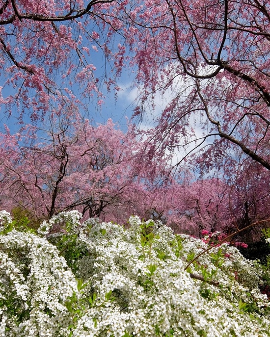 DSCF9268.jpg