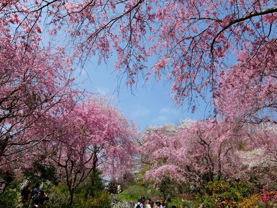 DSCF9271.jpg