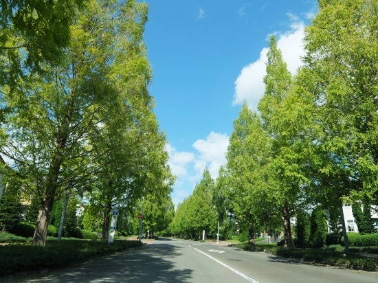 DSCF9274.jpg