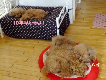 DSCF9279.JPG