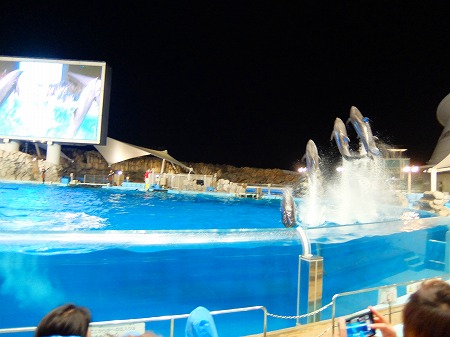 DSCF9297.jpg