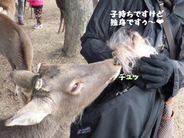 DSCF93441.jpg
