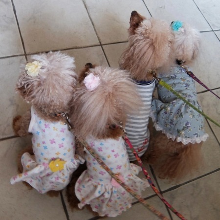 DSCF9370.jpg