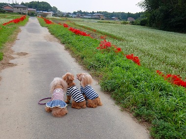 DSCF9386.jpg