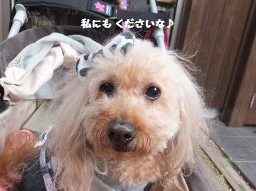 DSCF93881.jpg
