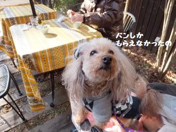 DSCF94171.jpg