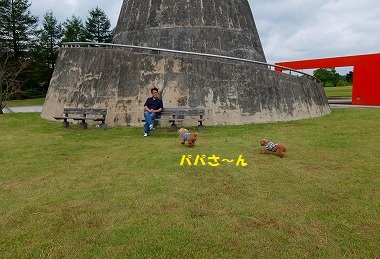 DSCF9424.jpg