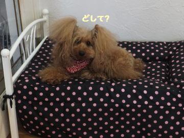 DSCF9433.JPG