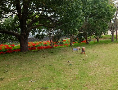 DSCF9438.jpg