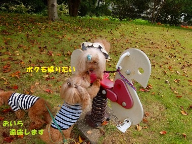 DSCF9445.jpg