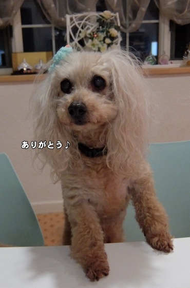 DSCF94781.jpg