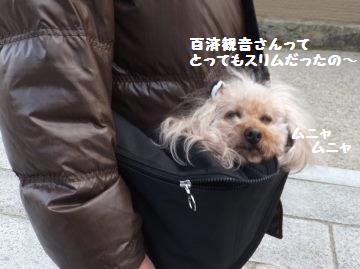 DSCF95381.jpg