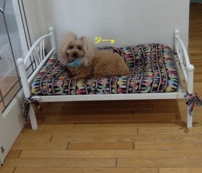 DSCF9553.jpg