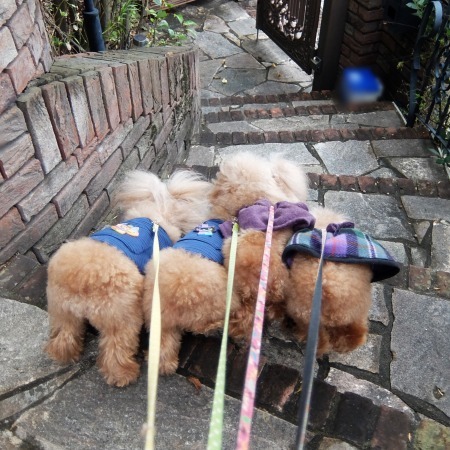 DSCF9574.jpg